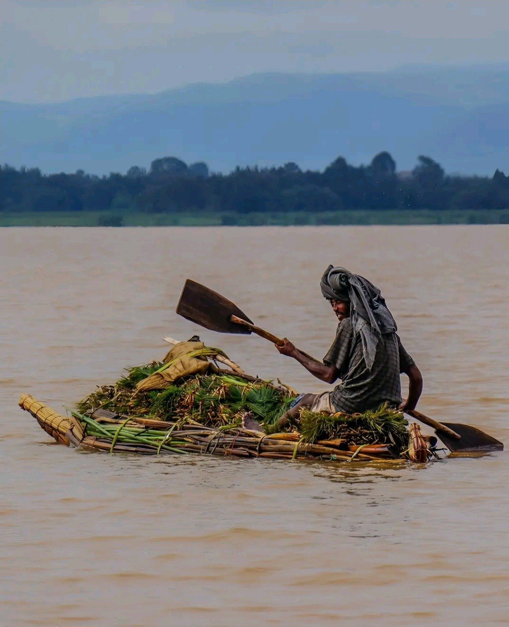Lake Tana Wetland